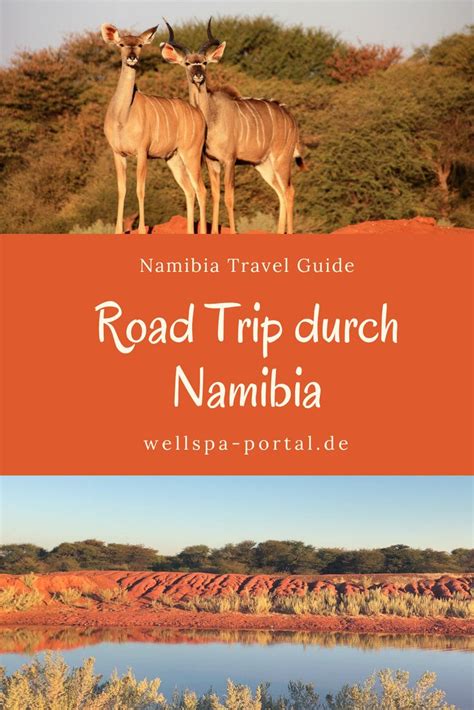 safari namibia beste reisezeit